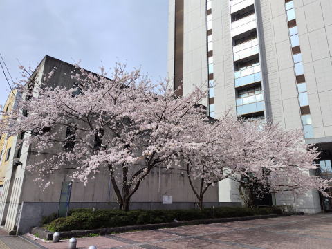 名古屋市東区の小さな質屋が今週の金相場を発表　3月第4週