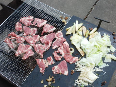 ＢＢＱ大会